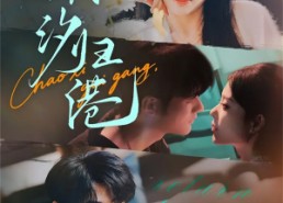 【潮汐归港】66集高清短剧在线免费观