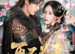 【再不为妻】60集短剧完整版在线观看