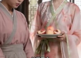 【寒宫春至菜盈园】28集短剧免费在线览观