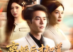 【离婚后才知道赘婿是仙君】66集免费短剧全集赏览