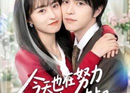 【今天也在努力攻略冰山大叔】50集短剧在线流畅观看