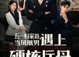 【五一归家路，当凤凰男遇上硬核岳母】60集短剧免费高清观看