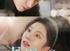 【月光落在我身上】76集短剧在线高清观看