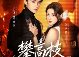 【攀高枝】70集高清短剧在线免费看