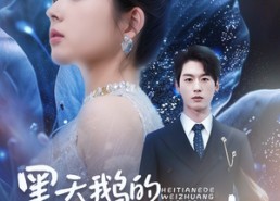 【黑天鹅的伪装教科书】60集精彩短剧在线随心看