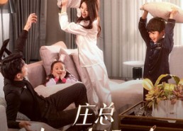 【庄少，少爷小姐又去找妈咪了】68集短剧完整免费在线观影