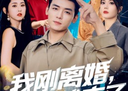 【我刚离婚系统就来了】80集短剧免费在线观全集