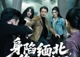 【身陷缅北，绝地生还】70集短剧免费无广告在线看