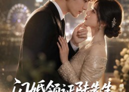 【闪婚领证陆先生的宠妻日常】72集短剧全集在线速看