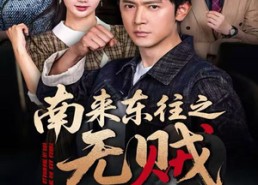 【南来东往之无贼】51集短剧完整版免费在线观