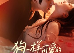 【狗一样可爱的老板】63集全集短剧在线免费播放