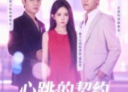 【心跳的契约】60集短剧全集免费畅看