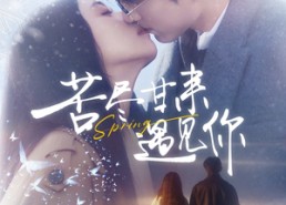 【苦尽甘来遇见你】87集短剧免费在线畅看