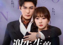 【谢先生的软萌小甜豆】79集短剧免费全集观览