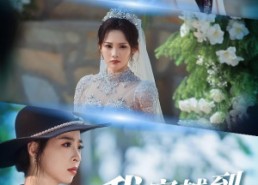 【十年生死不思量】49集短剧免费全集在线嗨观看