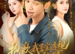 【抱歉，我鉴宝透视不讲武德】88集免费短剧全集直看