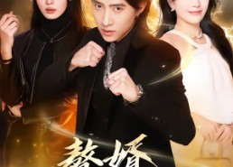 【赘婿他过分强大】51集短剧在线免费观览