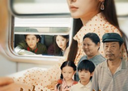 【错把韶华顾】63集短剧免费高清在线看