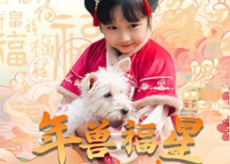 【年兽福星六岁半】62集免费在线短剧全集速看