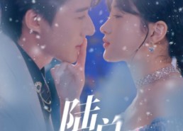 【陆总别想逃】80集在线短剧免费全集观