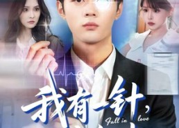 【我有一针，可定红尘】80集在线短剧免费览观