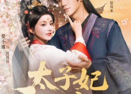 【太子妃天亮了】80集优质短剧免费赏阅