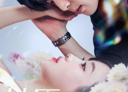 【甘愿与她】80集短剧免费在线随心览