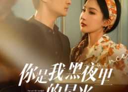 【你是我黑夜里的星光】80集短剧无删减在线免费观