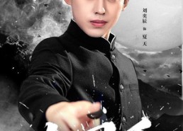 【大国手】76集短剧高清免费全集观享