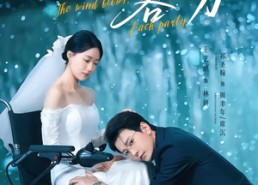 【风起潮声各一方】84集免费短剧完整版在线看