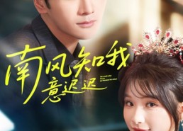 【南风知我意迟迟】79集短剧在线免费畅看