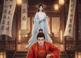 【我是赘婿】41集高清短剧全集在线观看