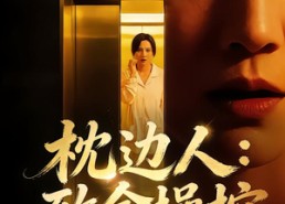 【枕边人：致命操控】48集高清短剧免费全览