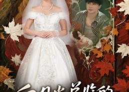 【白月光总监的狩猎游戏】60集短剧免费畅享全集看