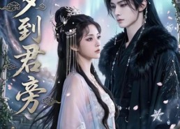 【一梦到君旁】58集短剧全集在线免费追