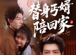 【替身丐婿陪回家】35集短剧在线免费全集速看