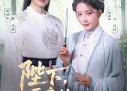 【陛下臣妾的刀又快了些】70集短剧完整版在线赏