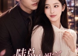 【陆总，你的小祖宗请签收】66集短剧全集在线免费观瞧