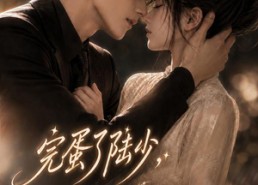 【完蛋了陆少，你的闪婚妻子又跑路了】76集短剧免费全集速看