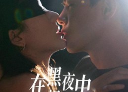 【在黑夜中相遇】32集短剧黑夜免费全集线上看