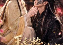 【王妃她不讲武德5】90集短剧全集免费观瞧