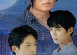 【城里的月光】46集在线短剧免费全集览