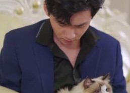 【变成猫后我被死对头宠上天】86集高清短剧免费畅看