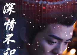 【只恨深情不识鸢】83集短剧免费在线畅看