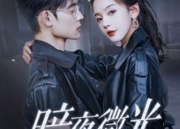 【暗夜微光】86集高清短剧免费畅看全集
