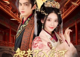 【智者不入爱问娘娘不想负责】55集免费短剧在线赏看