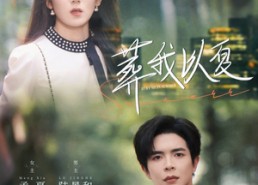 【葬我以夏】73集短剧免费在线全集赏