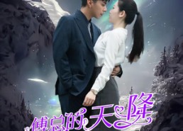 【傅总的天降太子妃】86集高清短剧免费在线观赏