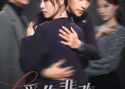 【爱你悲欢一场空】30集免费短剧全集随心看