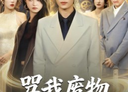 【骂我废物，我重生掌局】80集短剧全集免费畅看